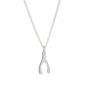 Lily Charmed Sterling Silver Wishbone Necklace