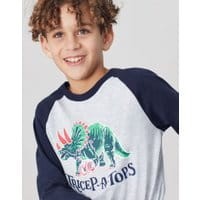 Boys Finlay Screenprint Raglan T-Shirt 1-12 Years - GREY DINO
