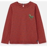 Boys Island Long Sleeve Embroidered T-Shirt 1-12 Years - ORANGE DINO
