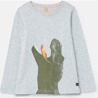 Boys Action Slim Fit T-Shirt 1-12 Years - GREY DINO