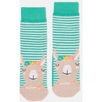 Neat Feet Character Socks - AQUA LLAMA