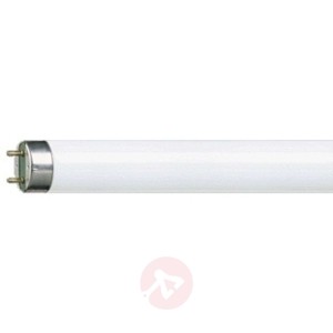 G13 T8 świetlówka MASTER TL-D Super 15W-840