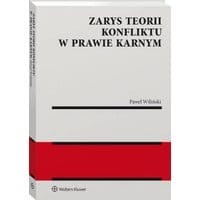 Zarys teorii konfliktu w prawie karnym [PRZEDSPRZEDAŻ]