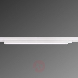 3-fazowy reflektor szynowy Linear 100, LED