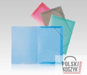 Biurfol Teczka plastikowa z gumką wąska TG-11 Czerwona transparnetna