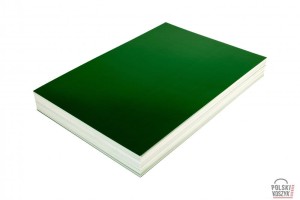Datura Karton CHROMOLUX zielony 100 szt.