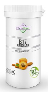 Soul Farm Pestki Moreli Ekstrakt 5:1 750 mg 60 Kapsułek