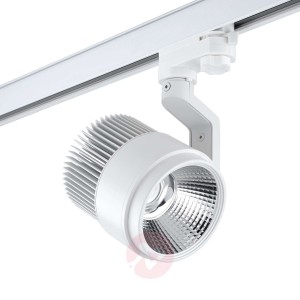 LEDS-C4 Action AC spot LED do szyny WN, biały