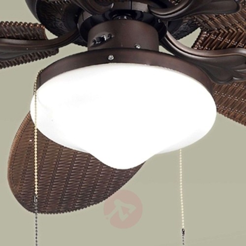 3db5b81d10a33c59649487272199eee9