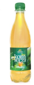 Bio Linie Kombucha Herbata Z Aloe Vera Bio 500 ml