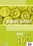 Kreska Papier xero A4 mix kolorów 100 arkuszy