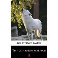 The Lightning Warrior