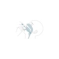 antygenowe-szybkie-testy-diagnostyczne-covid-19-ag-20szt (3).jpg