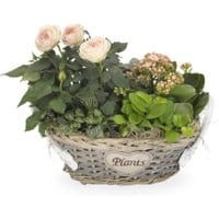4cfcfe89bd1fef05be951717a86b877f