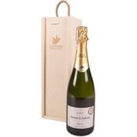 Wino Cava Brut