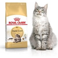 Royal Canin Maine Coon 31 10kg - Do każdego zamówienia dodaj prezent. Bez dodatkowych wymagań - tak łatwo jeszcze nie było!