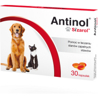 Sizarol Antinol na stawy 120 tabl. - Do każdego zamówienia dodaj prezent. Bez dodatkowych wymagań - tak łatwo jeszcze nie było!