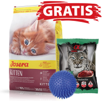 Josera Kitten 10kg + GRATIS