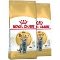 Royal Canin British Shorthair 34 2x10kg