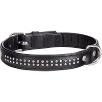 Dingo Obroża Glamour czarna 18mm/47cm - Do każdego zamówienia dodaj prezent. Bez dodatkowych wymagań - tak łatwo jeszcze nie było!