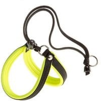 4624d99c3659531c4e5422e068321c81