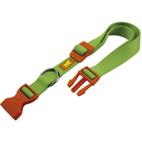 Ferplast Obroża Club zielona 10mm/32cm - Do każdego zamówienia dodaj prezent. Bez dodatkowych wymagań - tak łatwo jeszcze nie było!