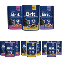Brit Premium Cat mix 3 smaków 100g x 12 dorsz, łosoś, kurczak - Do każdego zamówienia dodaj prezent. Bez dodatkowych wymagań - tak łatwo jeszcze nie było!