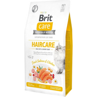 Brit Care Cat Grain-free Haircare Healthy & Shiny Coat 2kg