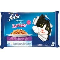 Felix Fantastic Junior w galaretce kurczak i łosoś 100g x 4 (multipak x 1) - Do każdego zamówienia dodaj prezent. Bez dodatkowych wymagań - tak łatwo jeszcze nie było!