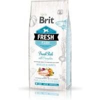 Brit Fresh Fish with Pumpkin Adult Large 2,5kg - Do każdego zamówienia dodaj prezent. Bez dodatkowych wymagań - tak łatwo jeszcze nie było!
