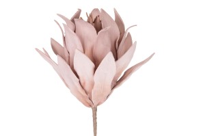Dekoracja roślinna „Protea”, 70 cm