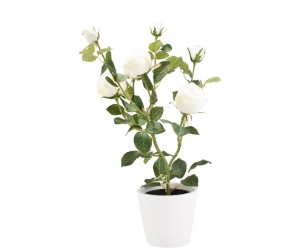 Dekoracja roślinna „Rose”, 50 cm