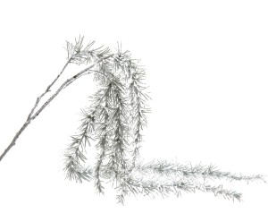 Dekoracja „Christia”, 147 cm