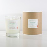 ŚWIECA AROMATERAPIA MASAŻ ANTY STRES W SZKLANCE WHISKY, BIOSENSUAL