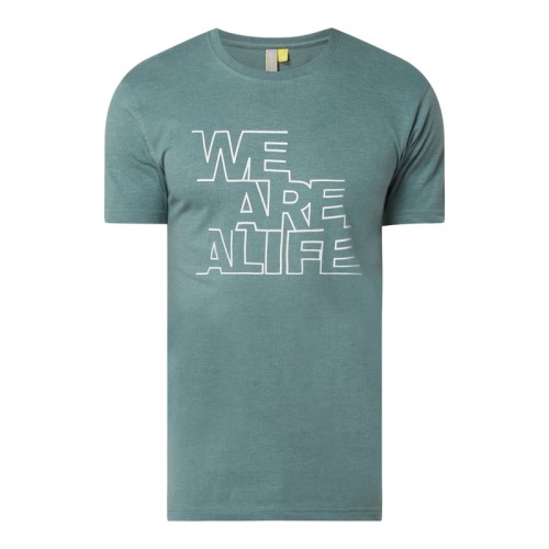 43aee95017835242d1ac66359edcdf19