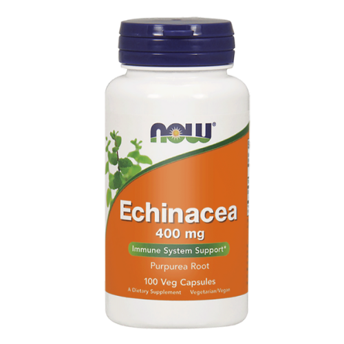 ECHINA.png