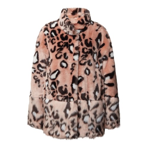 bcc23f4a2d88af1423c1ad1c62f06ba5