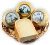 Ser gouda młody mały krąg (ok.1kg) BIO Kinderdijk