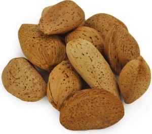 OPAKOWANIE ZBIORCZE (kg) - MIGDAŁY W ŁUPINIE BIO (około 5 kg)