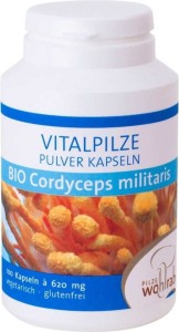 GRZYBY CORDYCEPS MILITARIS (MACZUŻNIK BOJOWY) BIO 100 KAPSUŁEK (500 mg) - PILZE WOHLRAB