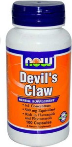 Diabelski pazur Devil's claw 500mg 6:1 ekstrakt 100 kapsułek NOW FOODS