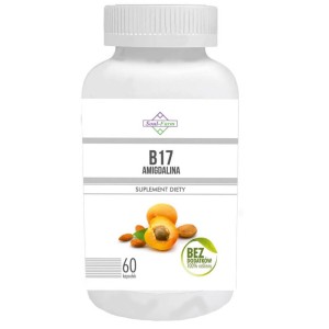 PESTKI MORELI EKSTRAKT 5:1 260mg 60 KAPSUŁEK - SOUL FARM