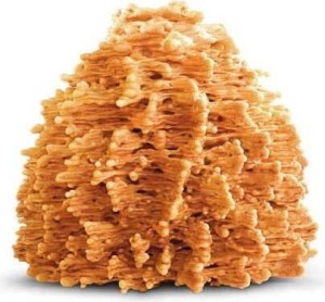 SĘKACZ PODLASKI BIO 500 g - CUKIERNIA ZANIEWICZ (DOBRY SĘKACZ)