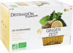 Herbata napar imbir-cytryna 20x1,5g EKO Destination