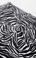 zeb2.jpg