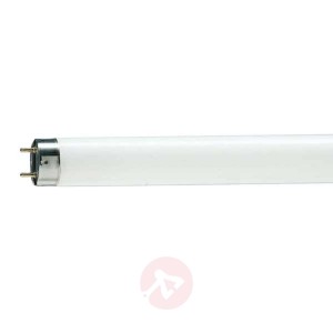 G13 T8 18W 940 świetlówka Master TL-D Deluxe
