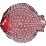 Patera dekoracyjna Fish