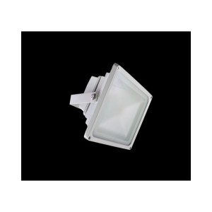 Naświetlacz FL 30W Power LED 3000K