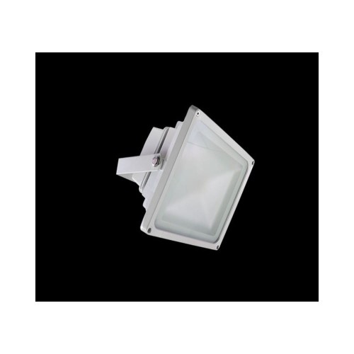 naświetlacz-fl-30w-power-led-3000k.jpg