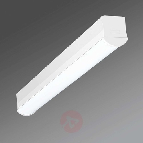 490c9e80bc199ac81b320276efab2631